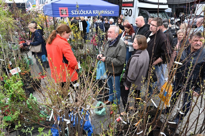 Tłumy kupujących i oglądających na targach "Dom, Ogród i Ty" w Targach Kielce w niedzielę, 24 kwietnia. Zobacz zdjęcia