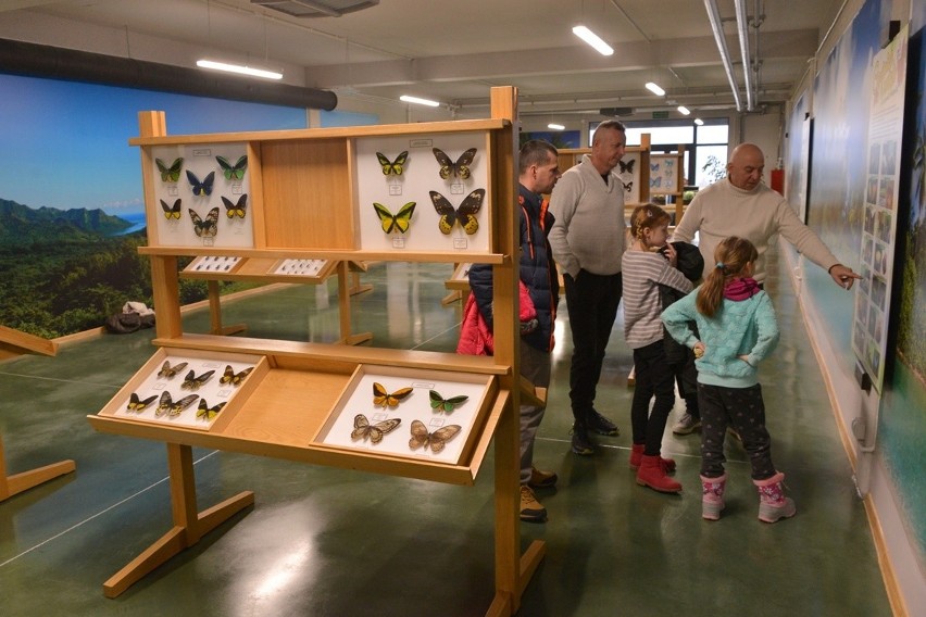 Fascynujący świat owadów w nowej hali w Kielcach. Zobacz film i zdjęcia