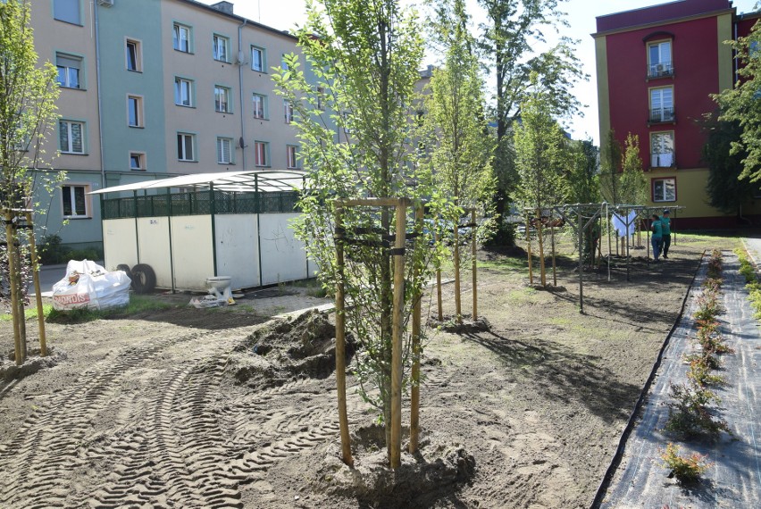 Zielono dosłownie i w przenośni zrobi się na terenach przy...