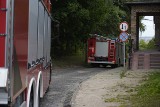 Wybuch w policyjnym laboratorium w Gdańsku? (6.08.2021 r.) 1 osoba poszkodowana w „zdarzeniu natury pirotechnicznej”