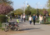 Tłumy ludzi nad zalewem na radomskich Borkach w niedzielę 1 maja. Zobacz zdjęcia