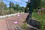 Toruń. 71-latek sam posprzątał uliczkę na Wrzosach. Internet oszalał
