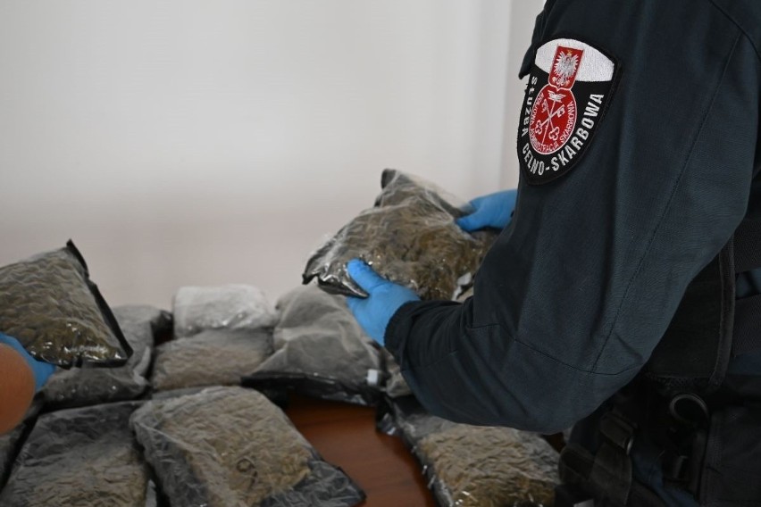 Przemyśl. KAS i policja przechwycili ponad 11 kilogramów suszu marihuany