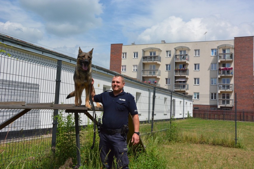 Dzielny pies po 3 kilometrach pościgu odnalazł 33-latka