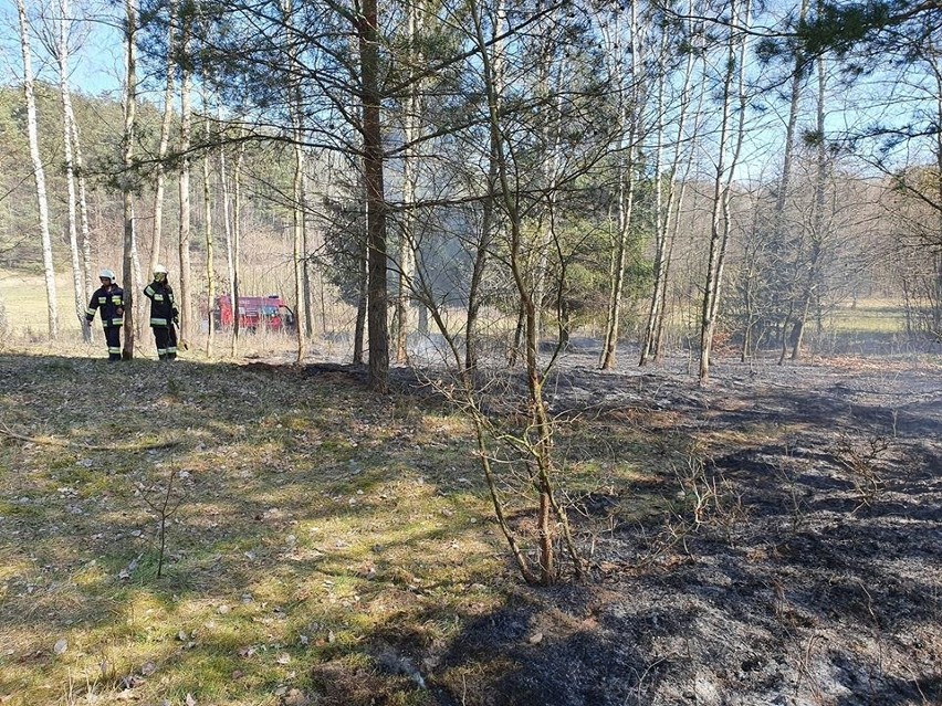 Susza w regionie. Pożar w gminie Czaplinek [ZDJĘCIA]
