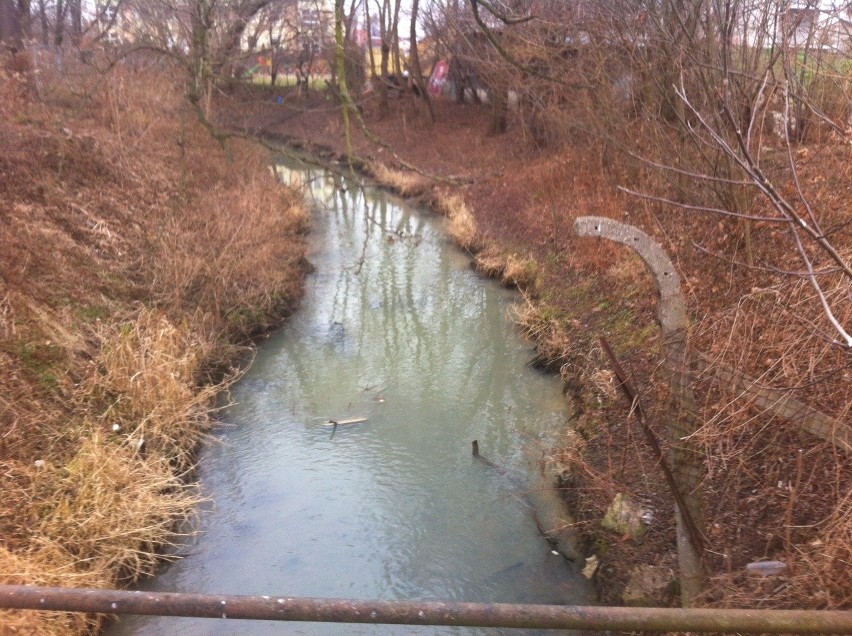 Wrocław: Kasina zanieczyszczona. Interweniują strażacy (FOTO)