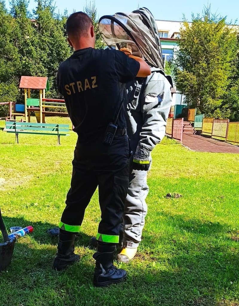 Osy ulokowały sobie gniazdo na placu zabaw przedszkola w Przeworsku. Wezwano strażaków [ZDJĘCIA]