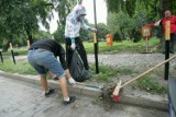 Wrocławianie sami posprzątali swoją ulicę. Reszta Śródmieścia poczeka (FOTO)