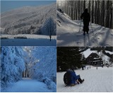 Gdzie z Wrocławia na spacer w śniegu i sanki? Sprawdź najlepsze lokalizacje!