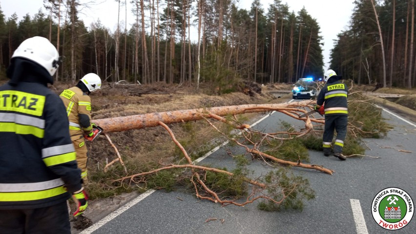 Gwałtowne wichury szaleją w woj. śląskim. Straty są ogromne.