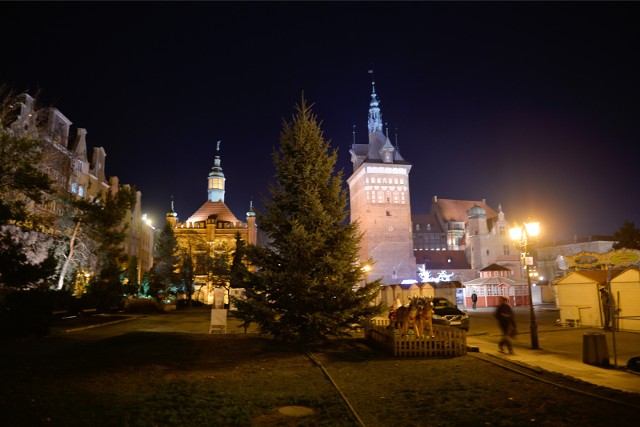 Tegoroczna "Choinka Młodych Gdańszczan” będzie inna, niż ta na zdjęciu - to będzie srebrzysty świerk, który podarował mieszkańcom Gdańska Jan Kukuła z  gminy Pszczółki.Choinka na Targu Węglowym ozdobiona zostanie 170 sznurami choinkowymi LED (barwa: biała-ciepła). Rozświetlone zostaną też drzewa wokół „Choinki Młodych Gdańszczan”.