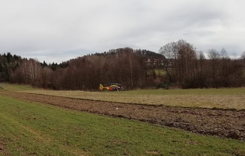 Tragedia w Bliznem k. Brzozowa. Zmarł 29-latek przygnieciony drzewem podczas wycinki