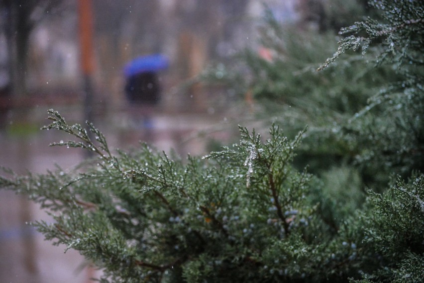 Pierwszy śnieg (z deszczem) spadł w poniedziałek w Lublinie