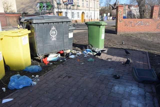 Na niewielkim placu przy Kalinkowej 13 stoi kilka śmietników. Korzystają z nich lokatorzy bloku przy Kalinkowej 18. I śmiecili  wokół. (zdjęcie zrobione zanim właściciel został ukarany mandatem)