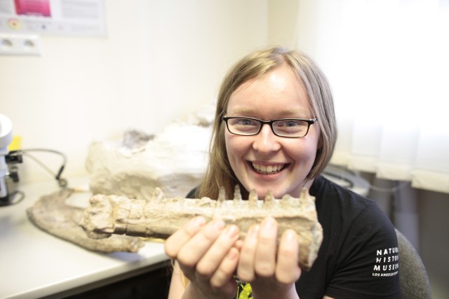 - Dzięki Europejskiemu Centrum Paleontologii będzie nam łatwiej o kontakty z innymi naukowcami z Holandii czy Portugalii. Będziemy mieli także większe szanse na skuteczne staranie się o granty badawcze - mówi Elżbieta Teschner, doktorantka z UO.