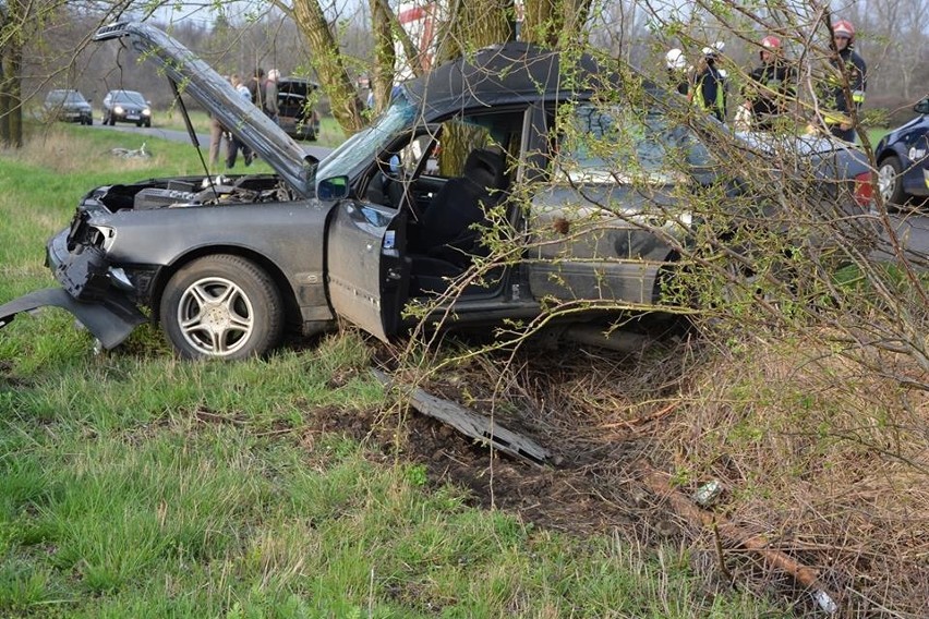 Pijany kierowca zatrzymał się na drzewie. W wypadku najbardziej ucierpiał pasażer