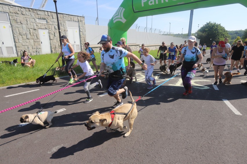 Silesia Psiaraton odbył się po raz pierwszy w Parku Śląskim...