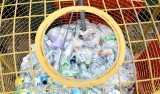 Wywóz śmieci w Łęczycy dwa razy droższy. 16 zł od osoby za odpady posegregowane i 18 zł  za odpady mieszane
