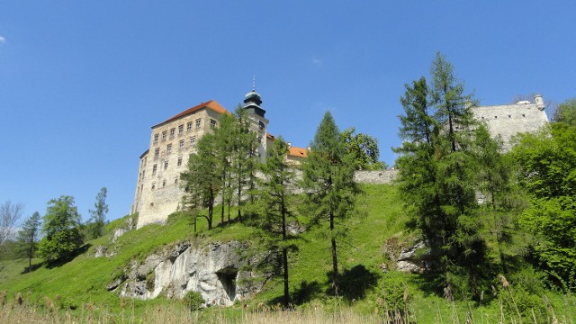 Okolice zamku w Pieskowej Skale to jedno z najpiękniejszych miejsc w Ojcowskim Parku Narodowym