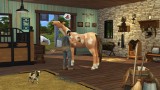 Ogłoszono zaskakujący dodatek do The Sims 4. W roli głównej zwierzęta, które kocha niemal każdy. Co nowego w DLC?