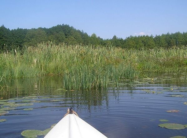 Letnia pogoda to najlepszy czas na spływ kajakiem