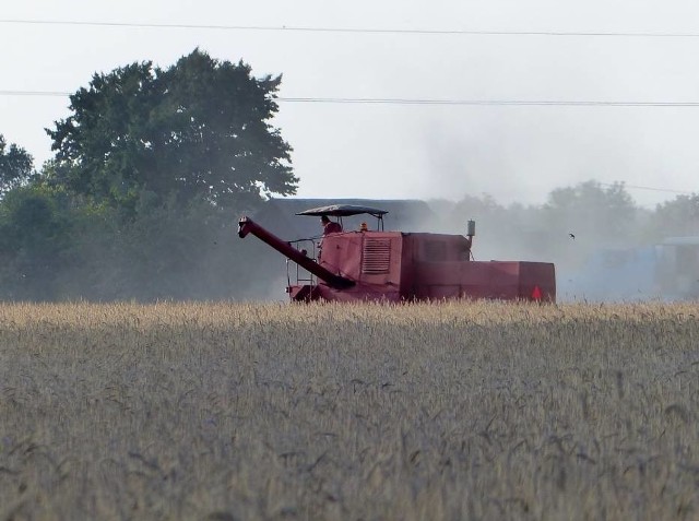 Rolnicy liczą na to, że kolejny rok będzie dla nich lepszy