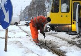 Od rana w Szczecinie wykoleiło się kilka tramwajów