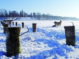 Z plaży zniknęły pomosty. Przenoszą miejskie kąpielisko