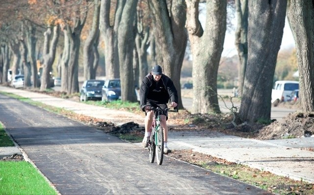 Droga rowerowa biegnąca przy al. 3 Maja miała być wybawieniem dla rowerzystów. Niestety jest niedoskonała.