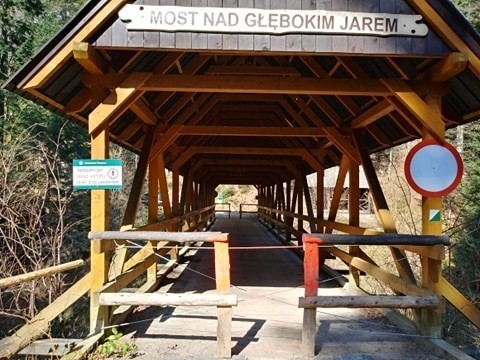 Beskid Sądecki. Most nad Głębokim Jarem do rozbiórki. Atrakcja jest nieczynna [ZDJĘCIA]