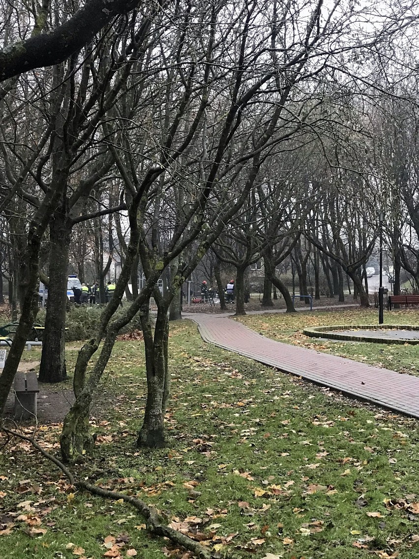 Chwilę po godzinie ósmej rano policja, pogotowie i straż...