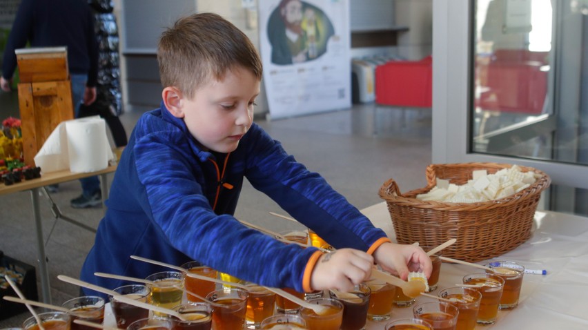 XVII Podkarpackie Święto Miodu w Rzeszowie. Zobacz zdjęcia    