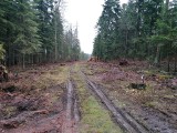 Leśnicy budują drogę na terenie gminy Bliżyn. Posłuży strażakom i turystom