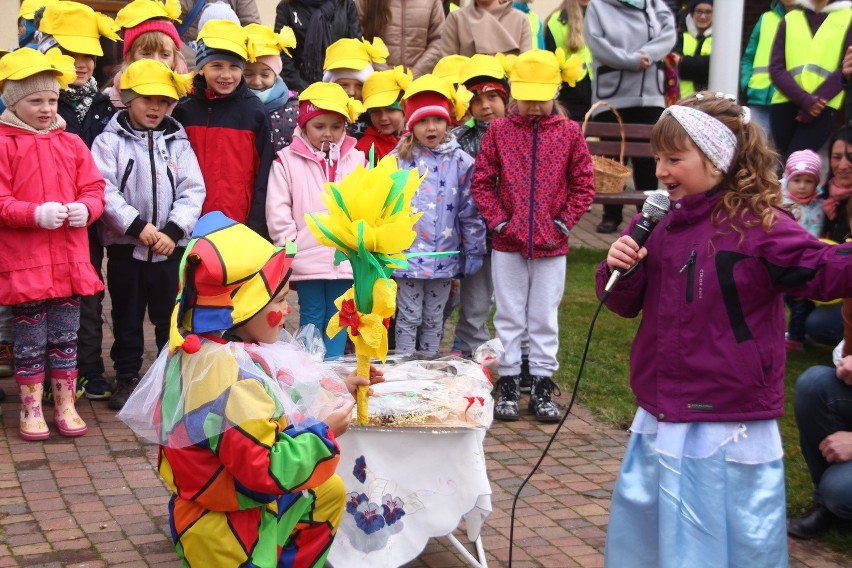 W Żorach zasadzili prawie 1000 żonkili, tworząc "Pole Nadziei" przy hospicjum