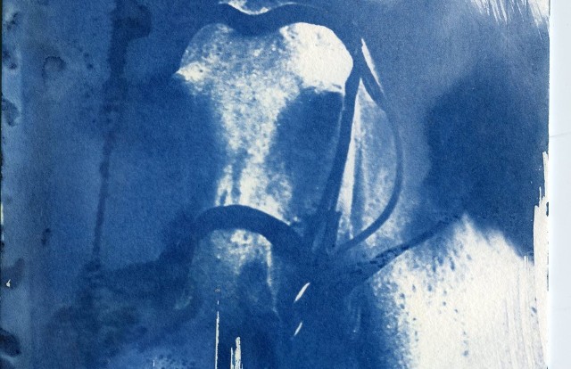Konie w kolorze blue - wystawa fotograficzna w Klubie Zenit