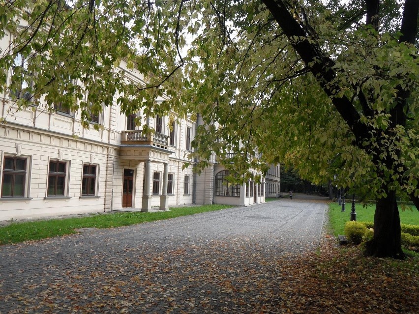 Żywiec: Jesień puka do Parku Habsburgów [ZDJĘCIA]