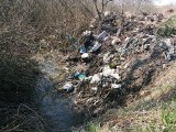 Mieszkańcy robią śmietnik z Przybyszówki. Butelki po alkoholu, zużyte prezerwatywy, odpady budowlane i stare opony [FOTO]