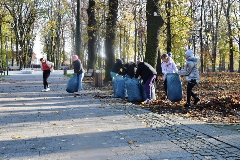 Uczniowie sandomierskiej "Dwójki" chronią kasztanowce. Piękna akcja w Miejskim Parku w Sandomierzu