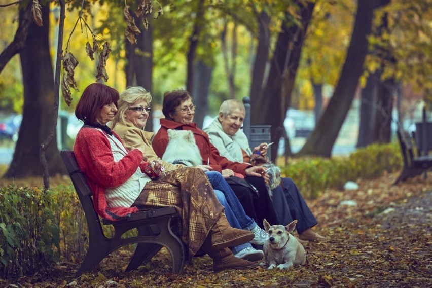Polacy chcą pracować powyżej wieku emerytalnego, ale stawiają pewne warunki. Jakie?