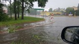 Podtopienia i powalone drzewa w miejscowości Olbięcin w pow. kraśnickim. Woda całkowicie zablokowała przejazd. Zobacz zdjęcia