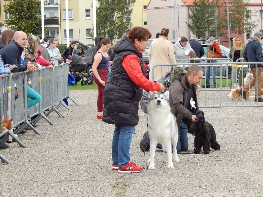 Na wystawie nie zabrakło publiczności, która kibicowała...