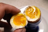 Dlaczego żółtko jest jasne lub ciemne? Od tego zależy smak jaj i odcień żółtka. Sprawdzamy, co kura je na śniadanie, obiad i kolację