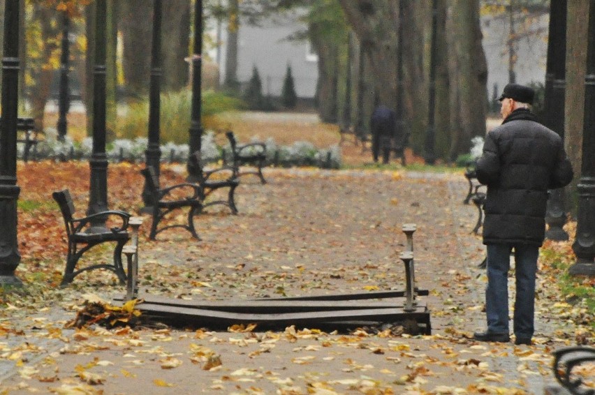 Wandale zdewastowali park Zdrojowy w Świnoujściu [ZDJĘCIA]