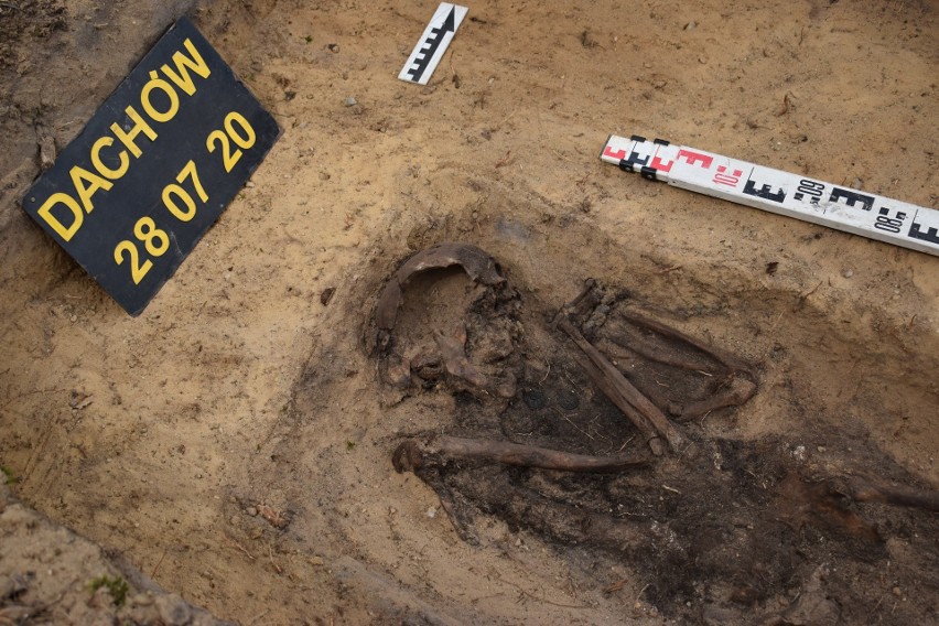 Szczątki kobiety zostały znalezione w lesie koło Dachowa...