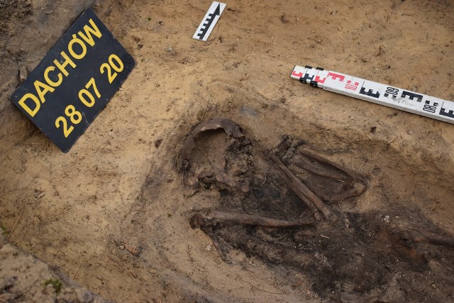 Szczątki kobiety zostały znalezione w lesie koło Dachowa (gm. Bobrowice).