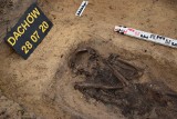 W lesie koło Dachowa (gm. Bobrowice) znaleziono szczątki kobiety, która została zamordowana. Jaka historia się za nimi kryje?