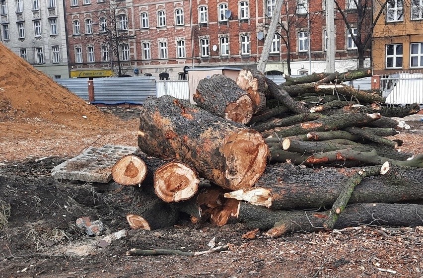 Drzewa wycięto o poranku. Deweloper tłumaczył, że prace...