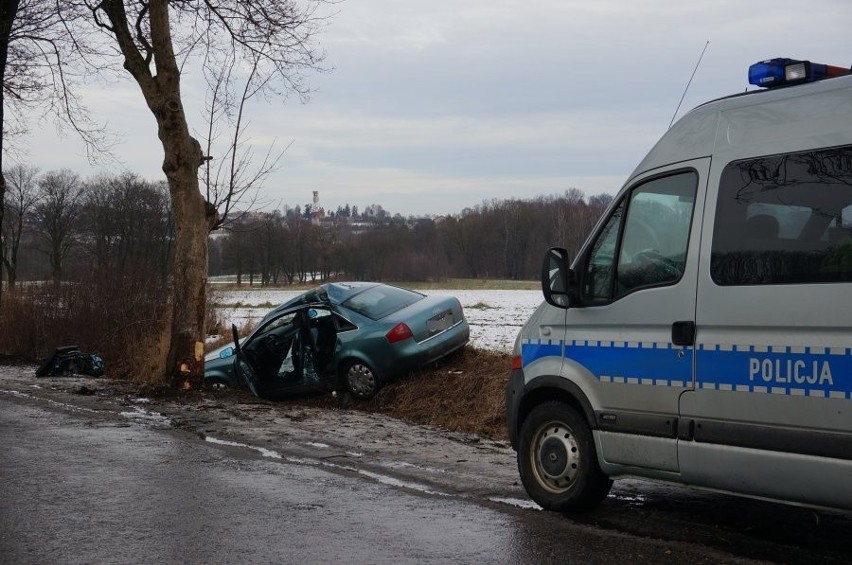 Wypadek Wieszowa: 5 osób rannych. Samochód uderzył w drzewo, jechały nim dzieci [ZDJĘCIA]