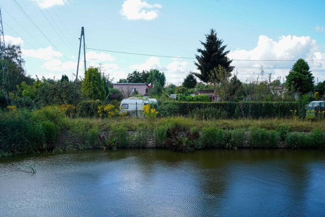 Gdańsk: Komu zależy na masowej wycince drzew? Mieszkańcy: To działanie pod dewelopera. Miasto: Nie przewidujemy likwidacji ogrodów