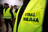 Gdańsk. W parku na Zaspie znaleziono martwego 2,5 metrowego węża